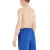 Zoggs Boys Penrith 15 Inch Length Shorts - Speed Blue -Best Swimming Equipment tumbnail 3621c0e1 bff7 427a 9f32 9127e049406f